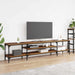 Cabinet TV Lemn Vechi 201 x 35 x 45 cm Lemn Ingineresc și Fier - WALTI WALTI