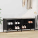 Dulap pentru pantofi cu raft Stejar Negru 131 x 35 x 50 cm - WALTI WALTI