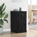 Dulap lateral Stejar Negru 40 x 50 x 75 cm Lemn compozit - WALTI WALTI