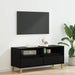 Cabinet TV Stejar Negru 100 x 34,5 x 44,5 cm Lemn compozit - WALTI WALTI