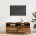 Cabinet TV cu sertar Lemn Vechi 100 x 34,5 x 44,5 cm - WALTI WALTI
