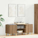 Dulap pentru discuri de vinil Stejar Artizanal 121 x 38 x 48 cm - WALTI WALTI