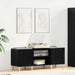 Dulap pentru discuri de vinil Stejar Negru 121 x 38 x 48 cm - WALTI WALTI