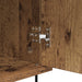 Bufet cu sertar Lemn vechi 35 x 40 x 70 cm Lemn compozit - WALTI WALTI