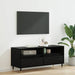 Cabinet TV cu sertar Stejar Negru 100 x 34,5 x 44,5 cm - WALTI WALTI