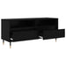 Cabinet TV cu sertar Stejar Negru 100 x 34,5 x 44,5 cm - WALTI WALTI