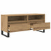 Cabinet TV cu sertar Stejar Artizanal 100 x 34,5 x 44,5 cm - WALTI WALTI