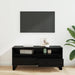 Cabinet TV cu sertar Stejar Negru 100 x 34,5 x 44,5 cm - WALTI WALTI