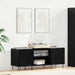 Dulap pentru discuri de vinil Stejar Negru 121 x 38 x 48 cm - WALTI WALTI
