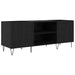 Dulap pentru discuri de vinil Stejar Negru 121 x 38 x 48 cm - WALTI WALTI