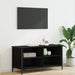 Cabinet TV Stejar Negru 100 x 40 x 50 cm Lemn compozit - WALTI WALTI