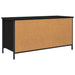 Cabinet TV Stejar Negru 100 x 40 x 50 cm Lemn compozit - WALTI WALTI