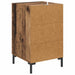 Dulap de noapte Lemn vechi 40 x 40 x 66 cm Lemn compozit - WALTI WALTI