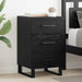 Dulap de noapte Stejar Negru 40 x 40 x 66 cm Lemn compozit - WALTI WALTI