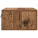 Dulap de noapte Lemn vechi 35 x 35 x 20 cm Lemn compozit - WALTI WALTI