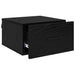 Dulap de noapte Stejar negru 35 x 35 x 20 cm Lemn compozit - WALTI WALTI