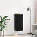 Dulap montat pe perete Stejar Negru 34,5 x 34 x 90 cm - WALTI WALTI
