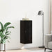 Dulap montat pe perete Stejar Negru 34,5 x 34 x 90 cm - WALTI WALTI