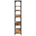 Raft pentru cărți Lemn vechi 99 x 35,5 x 176 cm Lemn compozit - WALTI WALTI