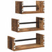 Set rafturi de perete 3 pcs Lemn Vechi 40x16x14cm Lemn compozit - WALTI WALTI
