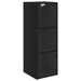 Dulap de perete Stejar Negru 35 x 37 x 102 cm Lemn compozit - WALTI WALTI