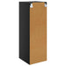 Dulap de perete Stejar Negru 35 x 37 x 102 cm Lemn compozit - WALTI WALTI