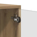Dulap de perete Stejar Artizanal 68 x 37 x 35 cm Lemn compozit - WALTI WALTI