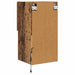 Sistem de TV montat pe perete Lemn Vechi 30,5 x 30 x 60 cm - WALTI WALTI
