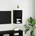 Sistem de TV montat pe perete Stejar Negru 30,5 x 30 x 60 cm - WALTI WALTI