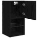 Sistem de TV montat pe perete Stejar Negru 30,5 x 30 x 60 cm - WALTI WALTI