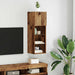 Sistem de TV montat pe perete Lemn Vechi 30,5 x 30 x 90 cm - WALTI WALTI