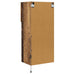 Sistem de TV montat pe perete Lemn Vechi 40,5 x 30 x 90 cm - WALTI WALTI