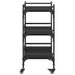Troler de Bucătărie Stejar Negru 50 x 35 x 75.5 cm - WALTI WALTI