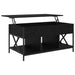 Masă de cafea Stejar Negru 100 x 55 x 48.5 cm Lemn compozit - WALTI WALTI