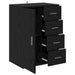 Bufet cu sertar Stejar Negru 59 x 39 x 80 cm Lemn compozit - WALTI WALTI
