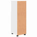 Dulap de Baie cu raft cu ușă Alb 30 x 35 x 95 cm Lemn compozit - WALTI WALTI