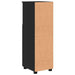 Dulap de Baie cu raft Negru 30 x 35 x 95 cm Lemn compozit - WALTI WALTI