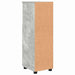Dulap de Baie cu raft Gri beton 30 x 35 x 95 cm Lemn compozit - WALTI WALTI