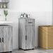 Dulap de Baie Gri Sonoma 30 x 35 x 80 cm Lemn compozit & Metal - WALTI WALTI