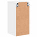 Dulap de Baie cu depozitare Alb 30 x 31.5 x 61 cm Lemn compozit - WALTI WALTI