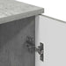 Dulap de Baie cu ușă Gri beton 30 x 31.5 x 61 cm Lemn compozit - WALTI WALTI