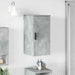 Dulap de Baie cu ușă Gri beton 30 x 31.5 x 61 cm Lemn compozit - WALTI WALTI