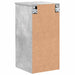 Dulap de Baie cu ușă Gri beton 30 x 31.5 x 61 cm Lemn compozit - WALTI WALTI