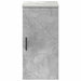 Dulap de Baie cu ușă Gri beton 30 x 31.5 x 61 cm Lemn compozit - WALTI WALTI