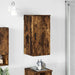 Dulap de Baie Stejar afumat 30 x 31.5 x 61 cm Lemn compozit - WALTI WALTI