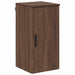Dulap de Baie Stejar brun 30 x 31.5 x 61 cm Lemn compozit - WALTI WALTI