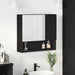 Dulap cu oglindă cu raft Negru 59 x 17 x 55 cm Lemn compozit - WALTI WALTI