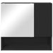 Dulap cu oglindă cu raft Negru 59 x 17 x 55 cm Lemn compozit - WALTI WALTI