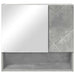 Dulap cu oglindă cu ușă Gri beton 59 x 17 x 55 cm Lemn compozit - WALTI WALTI