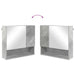 Dulap cu oglindă cu ușă Gri beton 59 x 17 x 55 cm Lemn compozit - WALTI WALTI